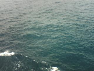 海水變藍了？！