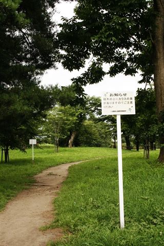 五陵郭公園內