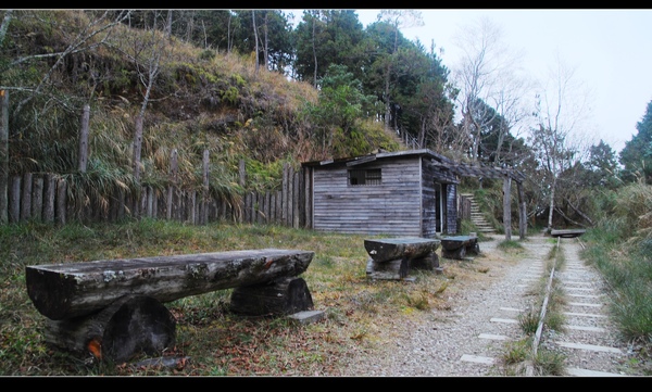 DSC_0710.jpg