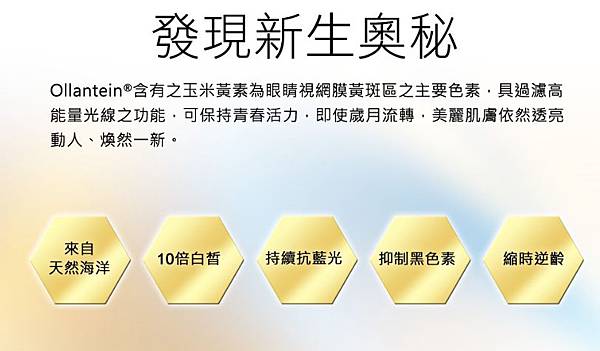 1490337569616 試用