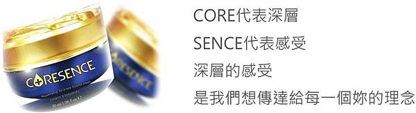 1490338380878 試用