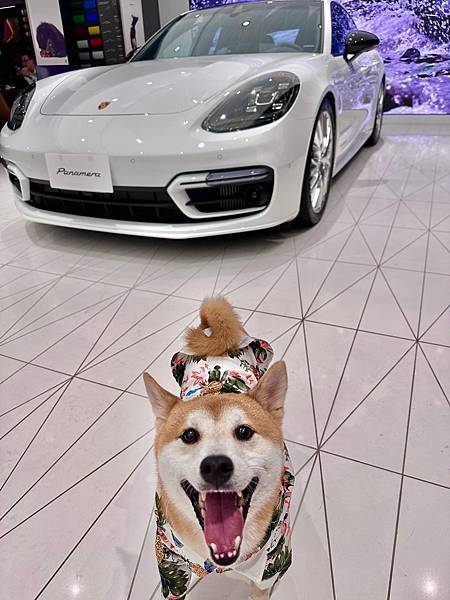 344546126_1283608055575532_2158200517834066769_n