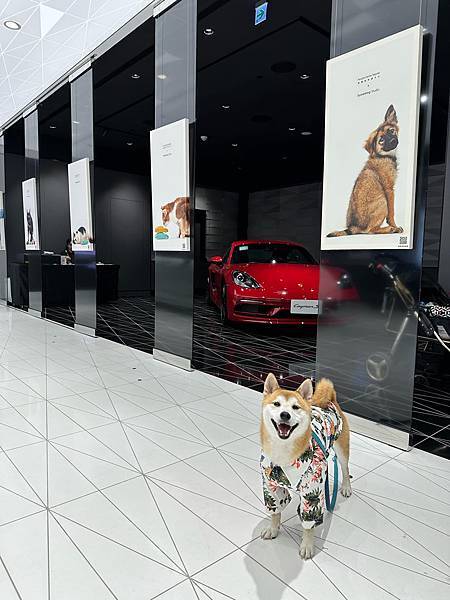 344889591_939551703838905_5877821504943597440_n