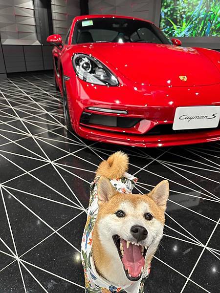 344640474_1586138875218777_6156726899216955050_n