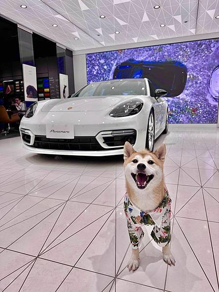 345043129_775304100988964_8624138930028966564_n