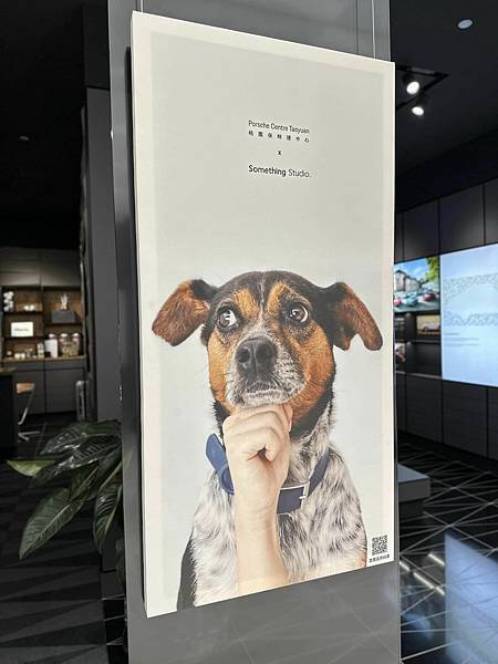 344356383_1173799069973589_171973697670742366_n