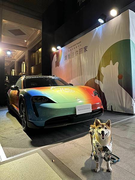 344889587_217095521027622_2610491790958919487_n