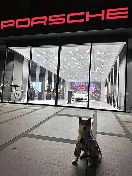 344756522_115645811519923_144789241824845623_n