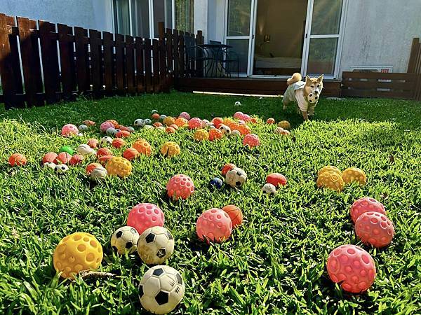 逗號民宿2 逗號民宿2