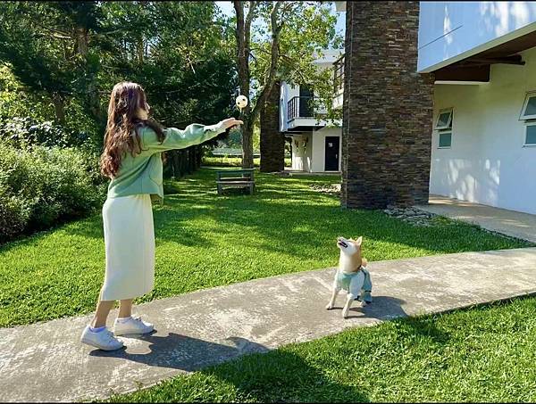 寵物友善民宿 逗號19