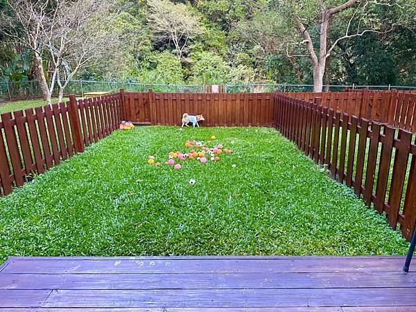 寵物友善民宿 逗號4