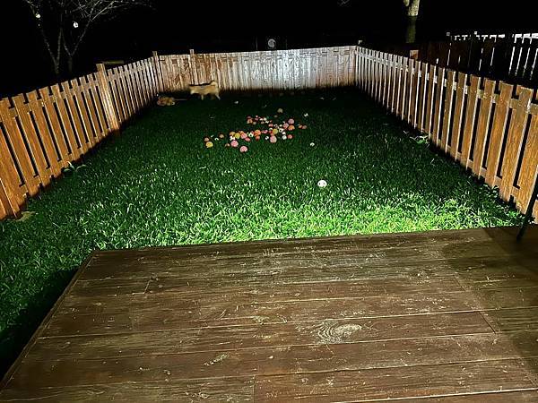 寵物友善民宿 逗號39