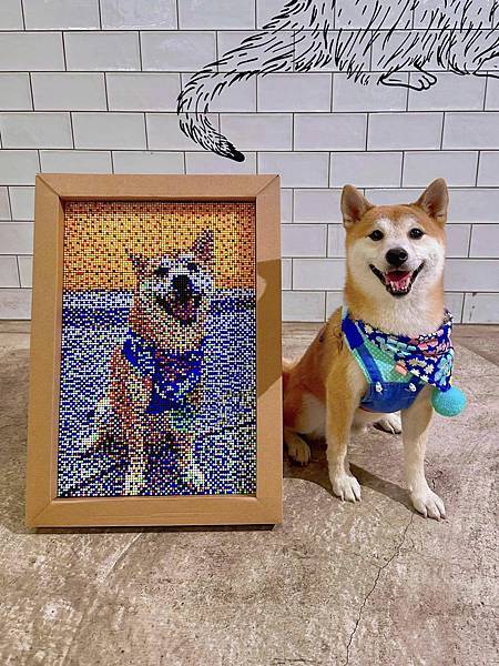 342200503_249108374175456_919361961397442012_n 342200503_249108374175456_919361961397442012_n