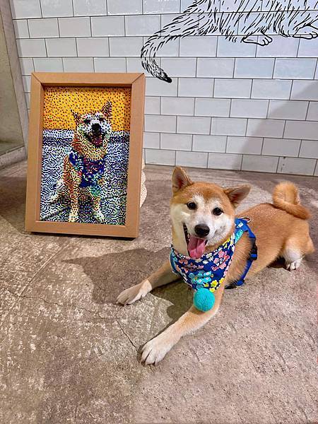 342187735_1771373906597741_2471394306142863067_n 342187735_1771373906597741_2471394306142863067_n