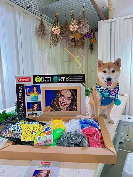 342196664_9112441108827357_8477906108471172801_n 342196664_9112441108827357_8477906108471172801_n