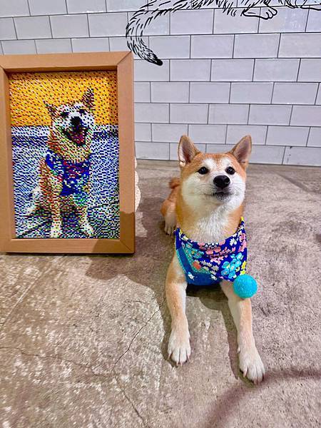 341899923_195786442774813_8372485995878885370_n 341899923_195786442774813_8372485995878885370_n