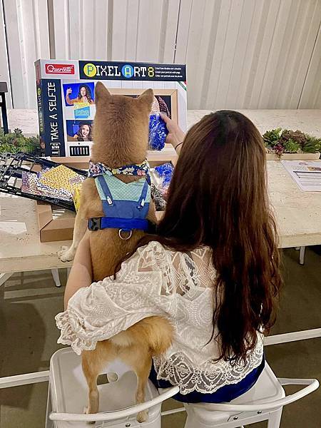 341699438_751350353128163_6301427640983091961_n 341699438_751350353128163_6301427640983091961_n