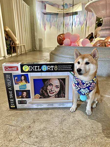 341863112_930802248161958_2412601491916401468_n 341863112_930802248161958_2412601491916401468_n