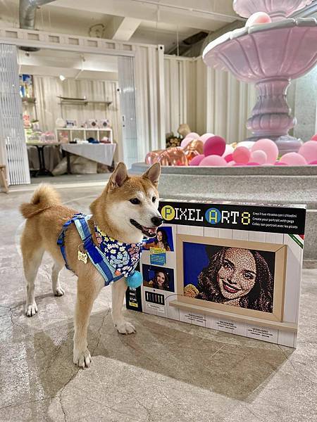 341882253_1401092707331756_482869982305836005_n 341882253_1401092707331756_482869982305836005_n