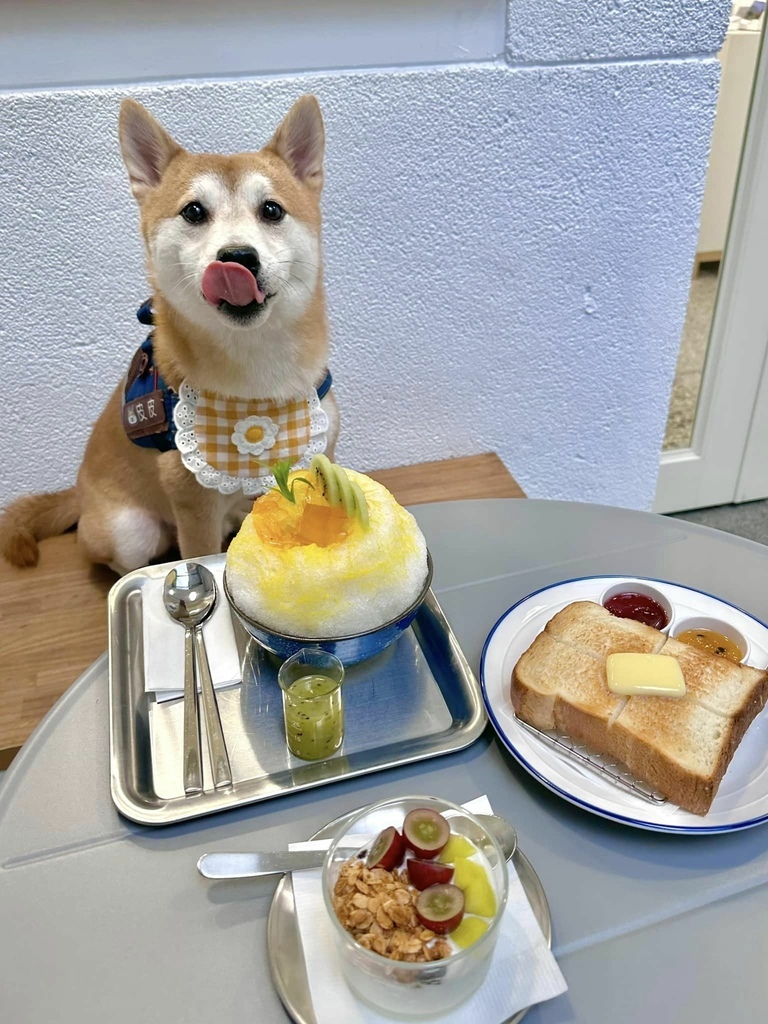 346094670_798163388495973_5673939349936517446_n.jpg 346094670_798163388495973_5673939349936517446_n.jpg