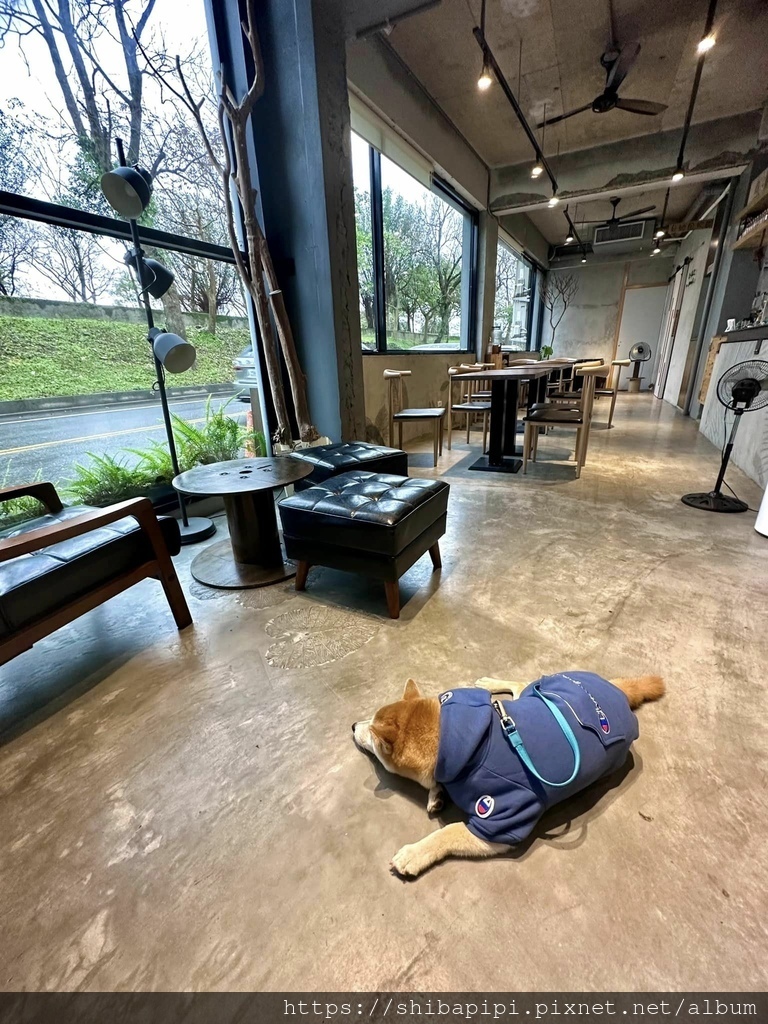 328464933_495222816023539_7213288176099382039_n.jpg 328464933_495222816023539_7213288176099382039_n.jpg