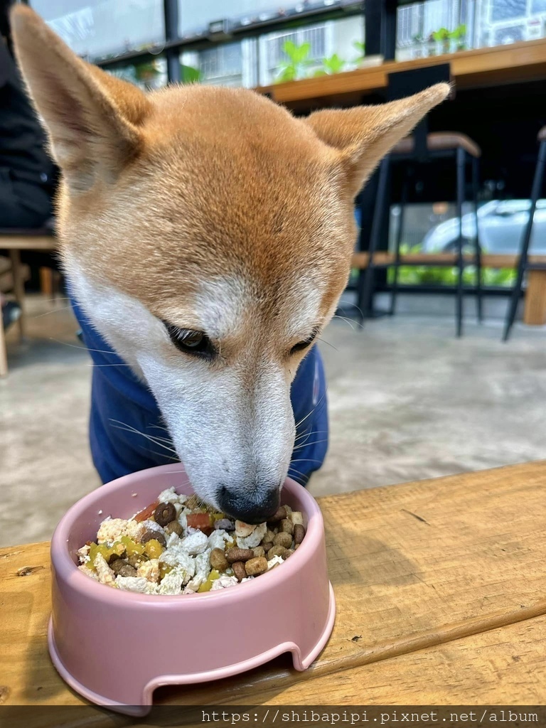 328225072_1173981099971792_5772875609059539324_n.jpg 328225072_1173981099971792_5772875609059539324_n.jpg