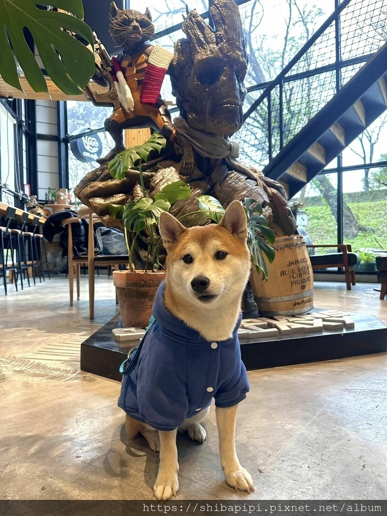 328640333_904756260718789_5940950612629671375_n.jpg 328640333_904756260718789_5940950612629671375_n.jpg