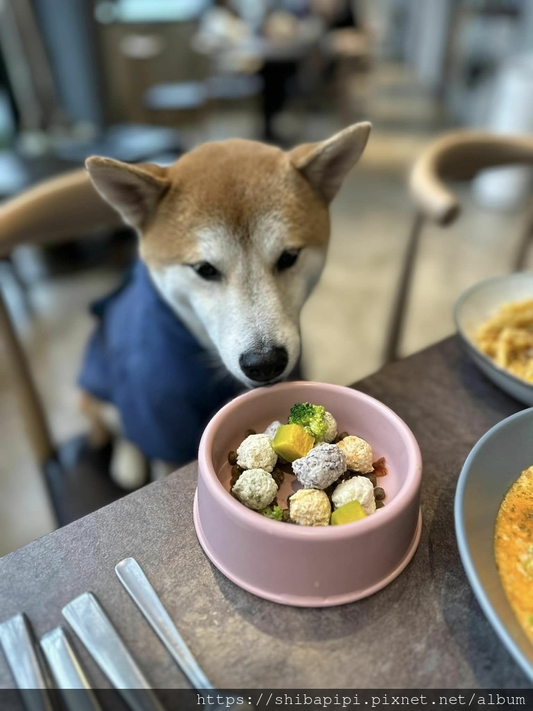 328951537_1406491963489480_6667770645637540372_n.jpg 328951537_1406491963489480_6667770645637540372_n.jpg