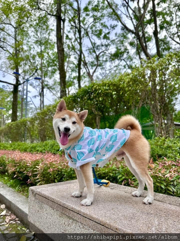 349000900_1204197053572592_4837960265554928931_n.jpg 349000900_1204197053572592_4837960265554928931_n.jpg