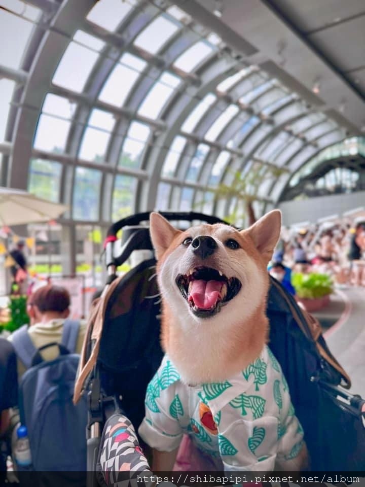 348550543_1039611510777837_8644733710624706535_n.jpg 348550543_1039611510777837_8644733710624706535_n.jpg