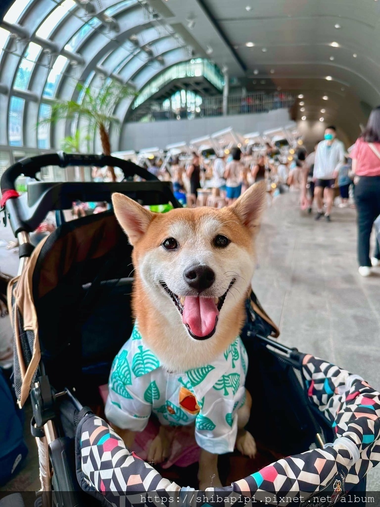 349122269_602310258523402_180001727896789451_n.jpg 349122269_602310258523402_180001727896789451_n.jpg