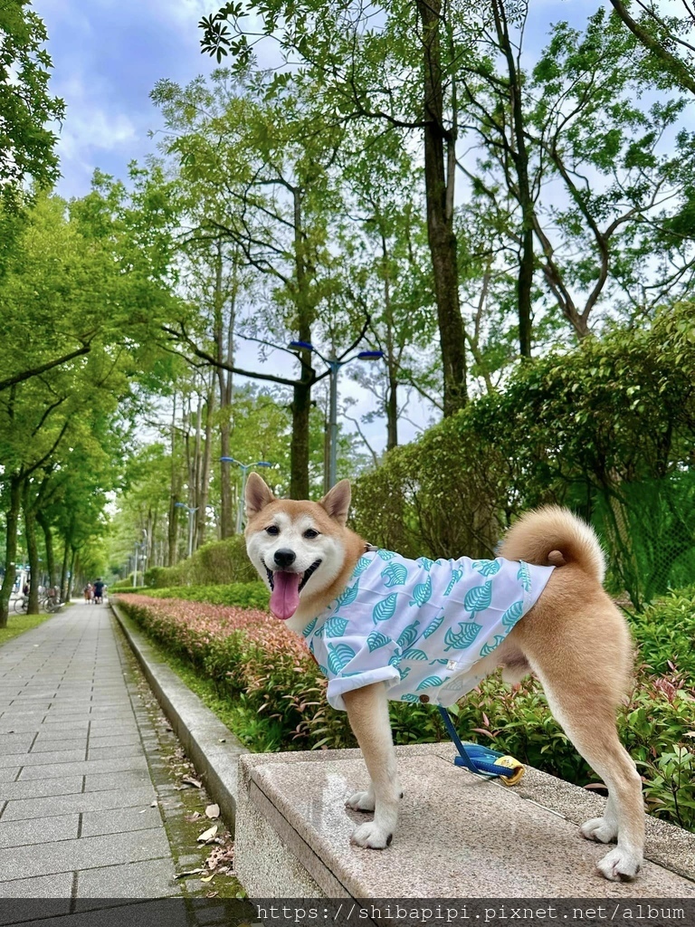 348923938_965457211454890_3754443803308613913_n.jpg 348923938_965457211454890_3754443803308613913_n.jpg