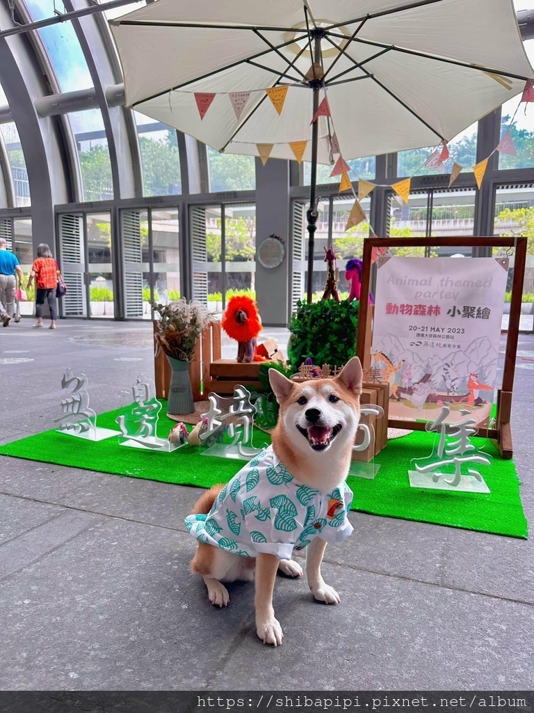 348825043_1429413424559559_4914938069816542549_n.jpg 348825043_1429413424559559_4914938069816542549_n.jpg