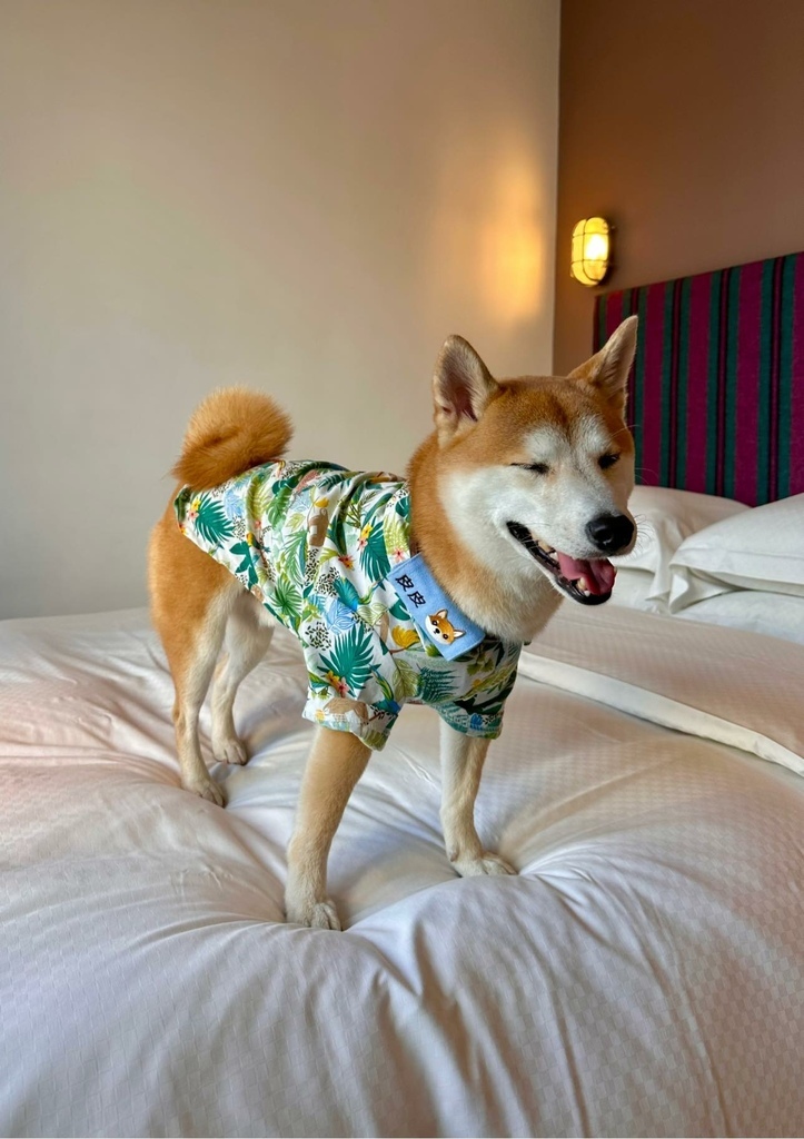 南台灣 最豐盛住宿Buffet早餐 x 寵物友善 【 高雄 南台灣 最豐盛住宿Buffet早餐 x 寵物友善 【 高雄