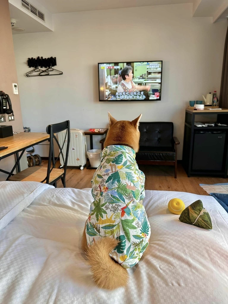 南台灣 最豐盛住宿Buffet早餐 x 寵物友善 【 高雄 南台灣 最豐盛住宿Buffet早餐 x 寵物友善 【 高雄