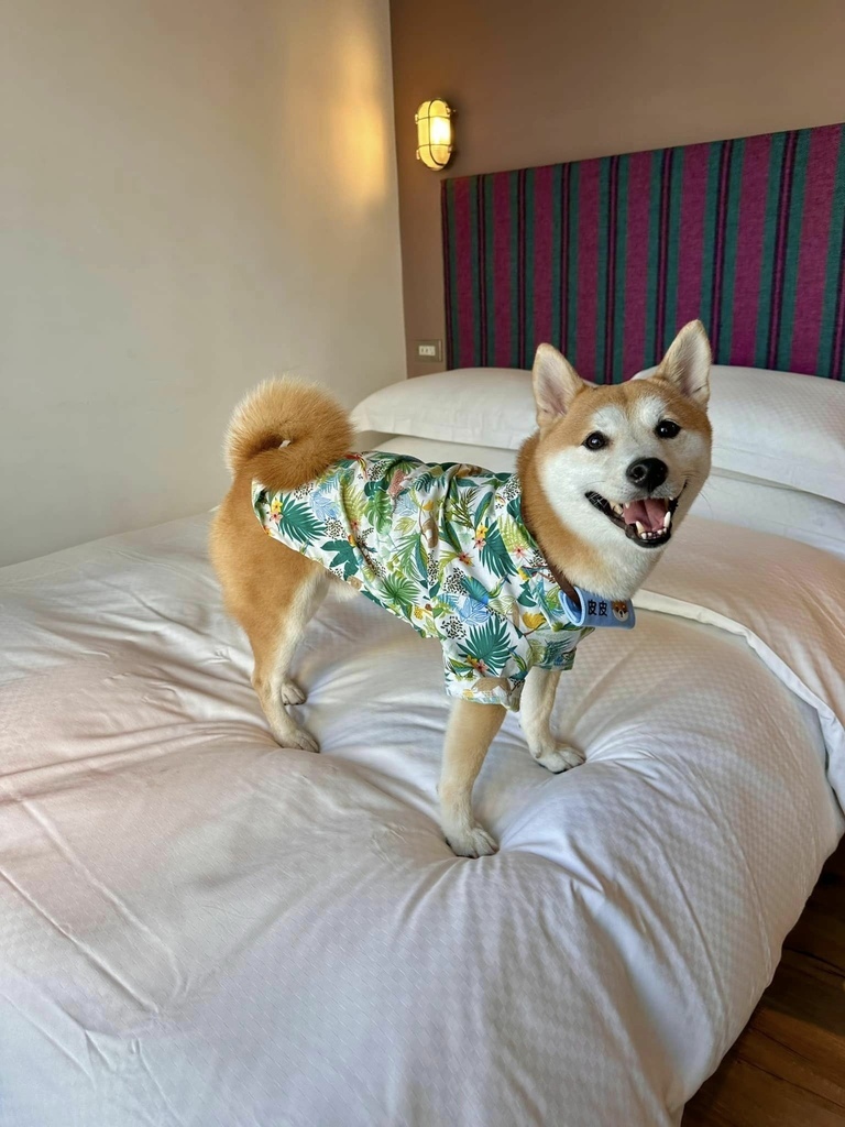 南台灣 最豐盛住宿Buffet早餐 x 寵物友善 【 高雄 南台灣 最豐盛住宿Buffet早餐 x 寵物友善 【 高雄