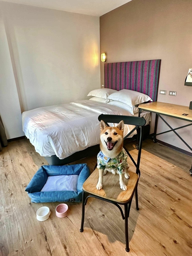 南台灣 最豐盛住宿Buffet早餐 x 寵物友善 【 高雄 南台灣 最豐盛住宿Buffet早餐 x 寵物友善 【 高雄