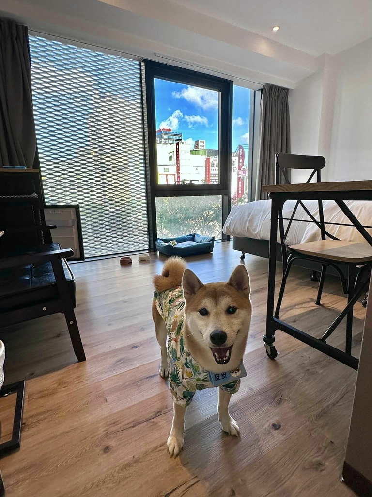 南台灣 最豐盛住宿Buffet早餐 x 寵物友善 【 高雄 南台灣 最豐盛住宿Buffet早餐 x 寵物友善 【 高雄