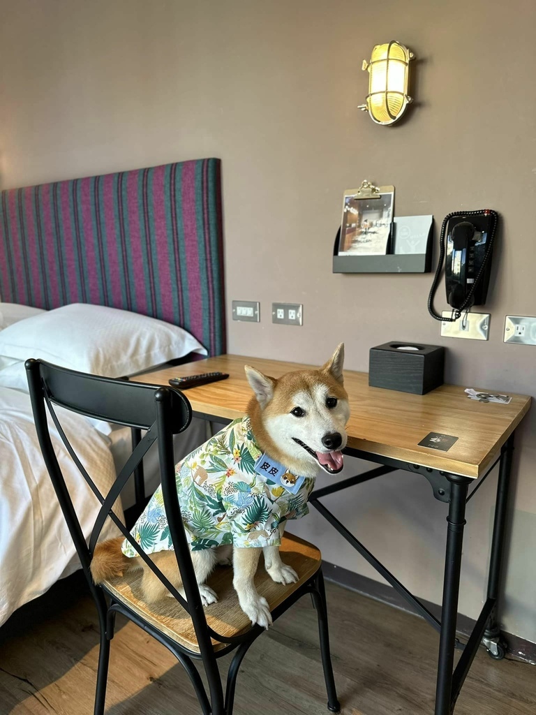 南台灣 最豐盛住宿Buffet早餐 x 寵物友善 【 高雄 南台灣 最豐盛住宿Buffet早餐 x 寵物友善 【 高雄