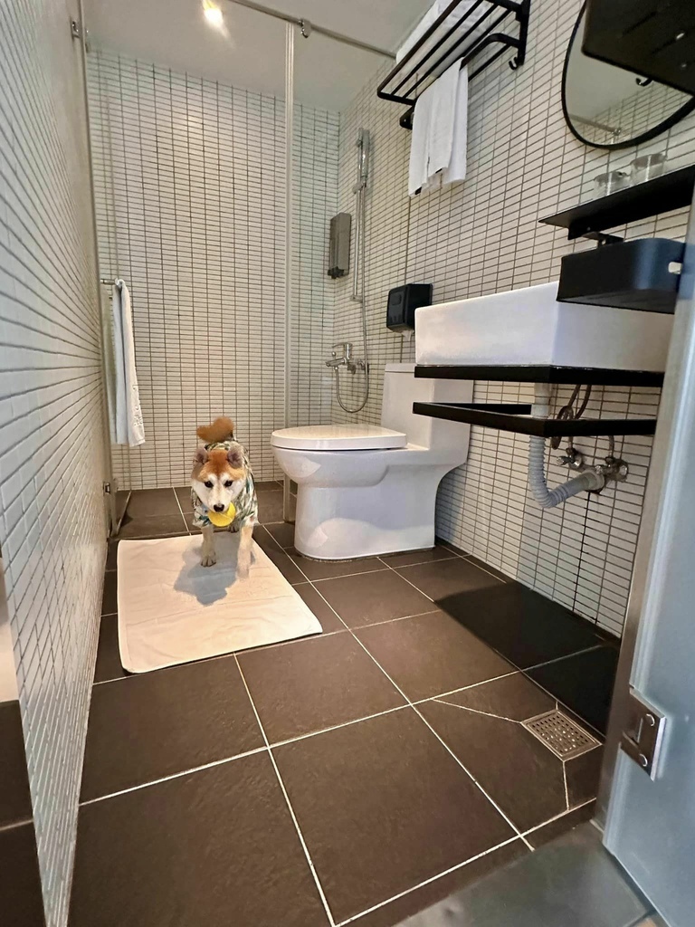 南台灣 最豐盛住宿Buffet早餐 x 寵物友善 【 高雄 南台灣 最豐盛住宿Buffet早餐 x 寵物友善 【 高雄