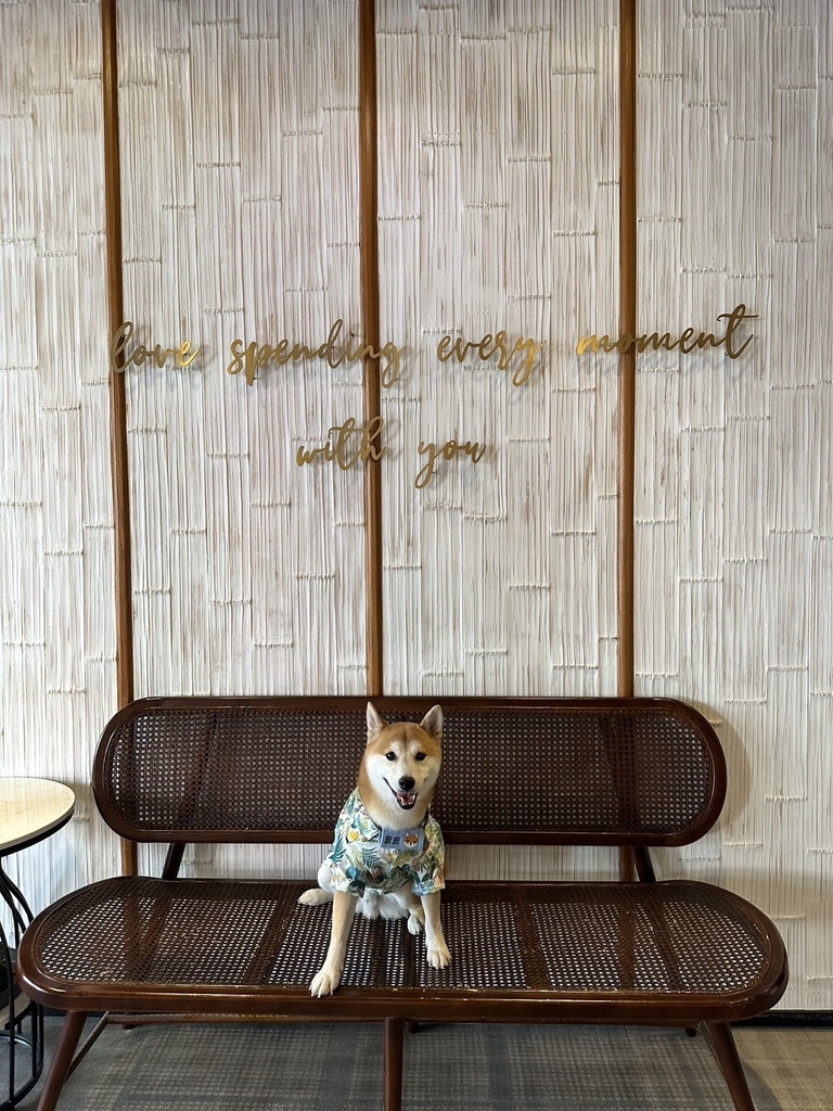 南台灣 最豐盛住宿Buffet早餐 x 寵物友善 【 高雄 南台灣 最豐盛住宿Buffet早餐 x 寵物友善 【 高雄