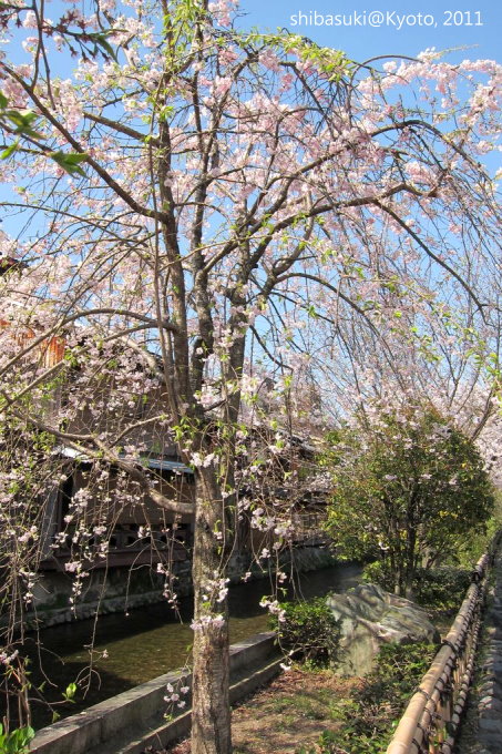 20110413_Kyoto-13_白川巽橋_1.JPG