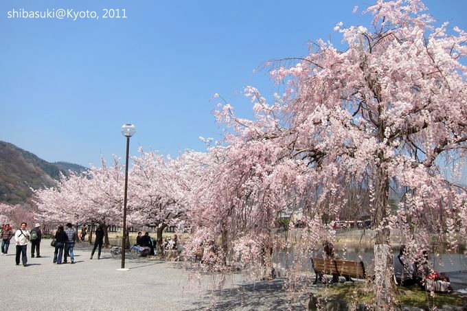 20110413_Kyoto-67_嵐山公園 中之島_1.JPG