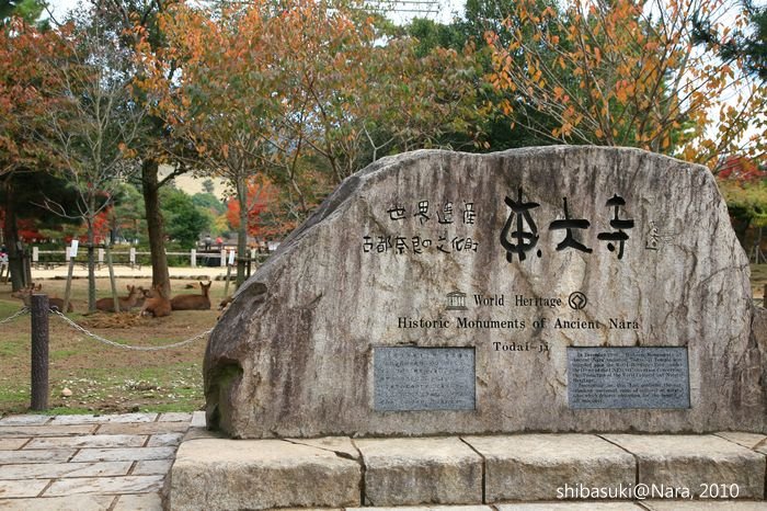 20101120_Nara-40_東大寺前_1.JPG