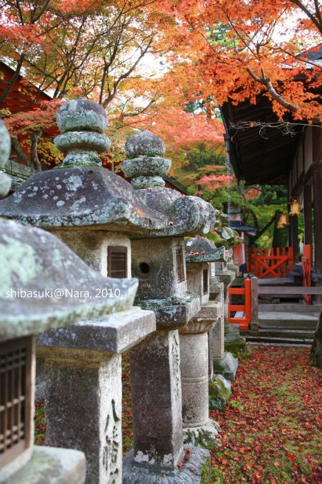 20101120_Nara-80_手向山八幡宮_1.JPG