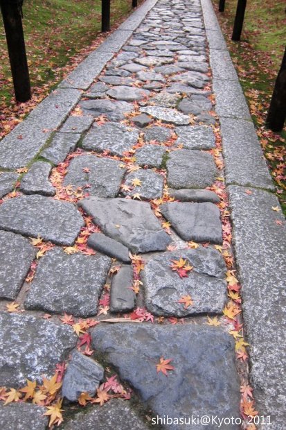 20111129_Kyoto-265_大德寺高桐院_1.JPG