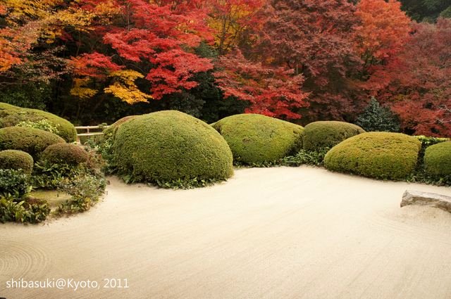 20111130_Kyoto-219_詩仙堂_1.JPG 20111130_Kyoto-219_詩仙堂_1.JPG
