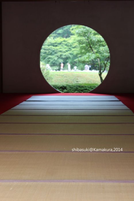 20140616_Kamakura-119_明月院_1.JPG