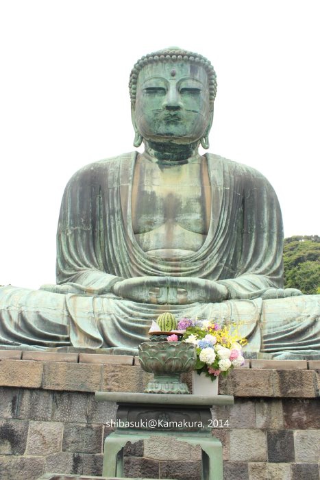 20140617_Kamakura-55_高德院大佛_1