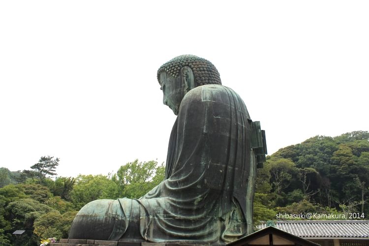 20140617_Kamakura-56_高德院大佛_1